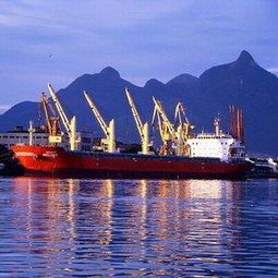 深圳協(xié)同國(guó)際貨代廣州分公司 專業(yè)貨運(yùn)代理服務(wù)，連接全球貿(mào)易的橋梁